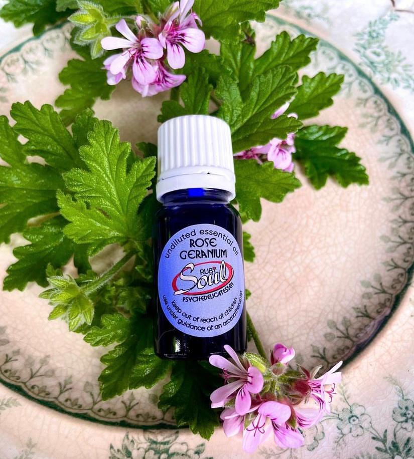 Rose Geranium Essential Oil